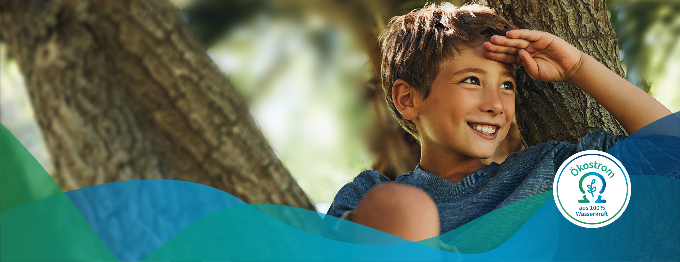 Unser Ökostrom - Junge sitzt auf Baum und hält Ausschau